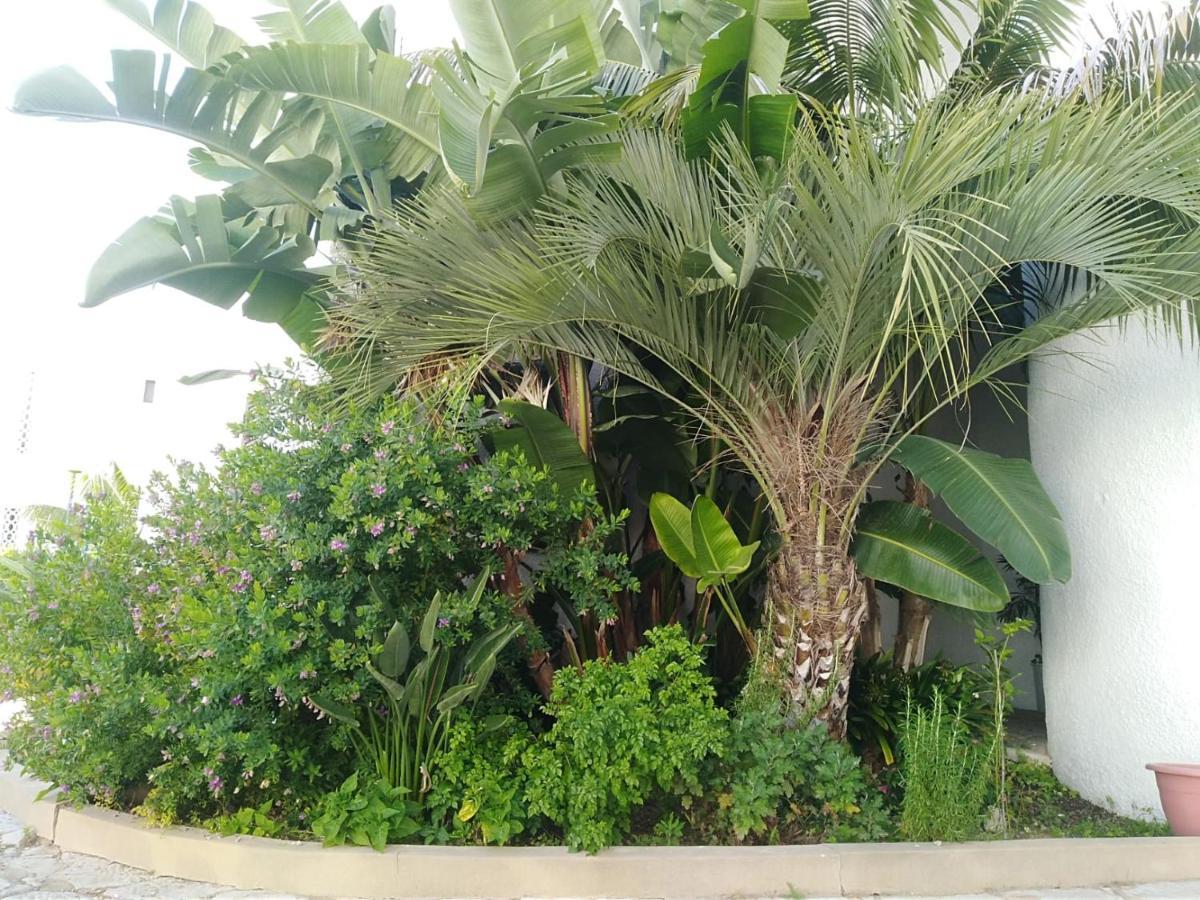 Garden View Vilamoura Apartment Εξωτερικό φωτογραφία